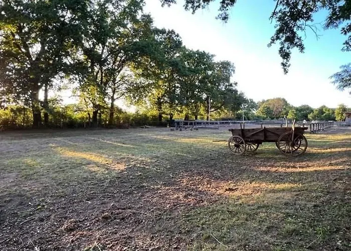 Ubytování v soukromí Uebernachten Im Goethezimmer Jerchel (Stendal)